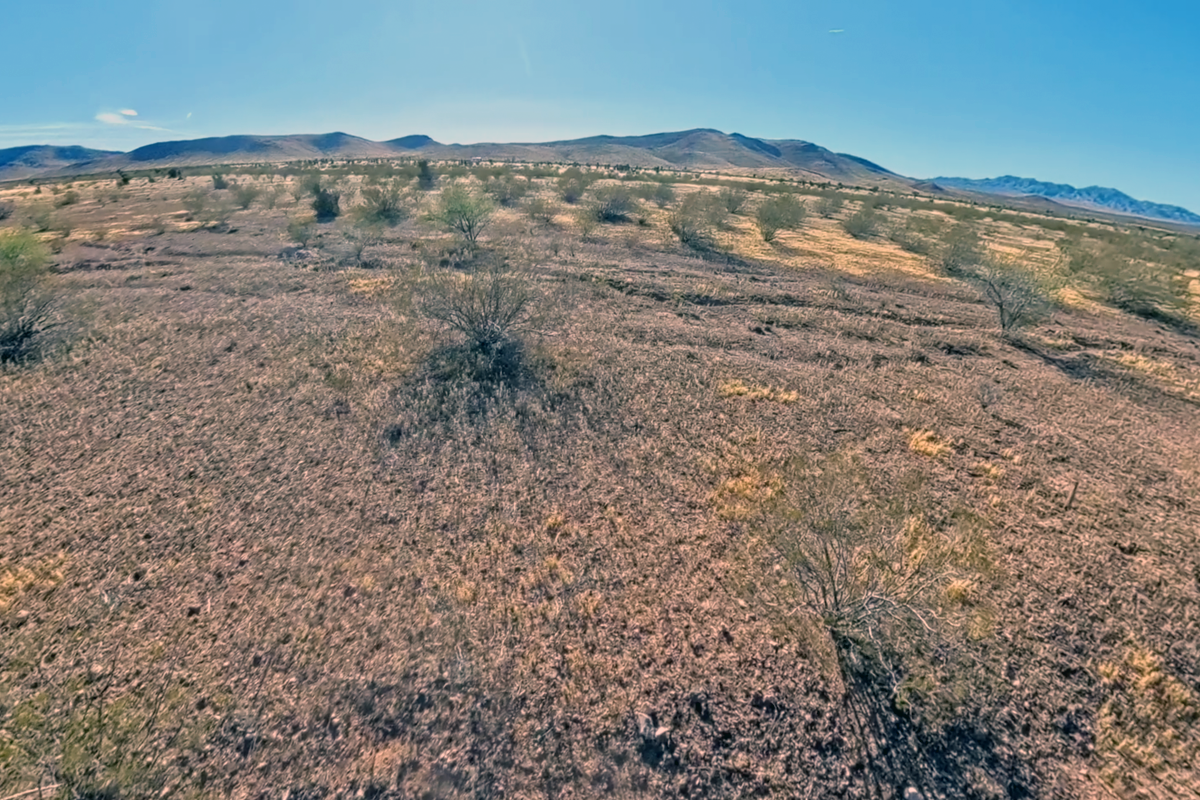 Desert landscape